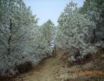 sendero tud 21108.jpg