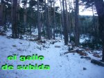 050_resize.JPG