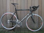 storck1.jpg