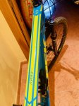 IMG_1288.jpeg