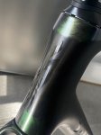 IMG_8099.jpeg