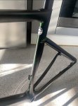 IMG_8097.jpeg