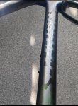 IMG_8100.jpeg