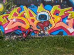 PXL_20231231_104843472~2.jpg