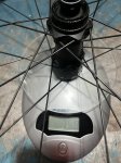 IMG_7357.jpeg