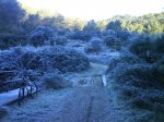 DSC00189.JPG