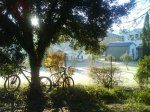 DSC00193.JPG