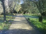 DSC00198.JPG