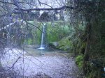 DSC00202.JPG