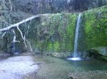 DSC00204.JPG