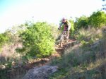DSCN3779.JPG