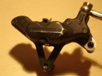 DSC05579.JPG