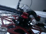 DSC07910.JPG