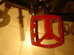 DSC05974.JPG