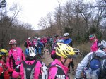 IMG_2944.JPG