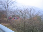 IMG_2950.JPG