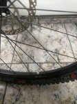 IMG_5270.jpeg