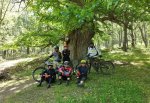2024-06-01-El Castañar del Tiemblo.jpg
