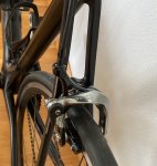 IMG_1320.jpeg
