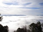 DSC03272.jpg