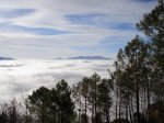DSC03273.jpg