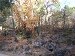 DSC03276.jpg