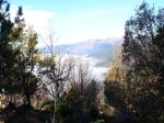 DSC03278.jpg
