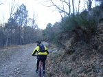 DSC03281.jpg