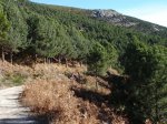 DSC03285.jpg