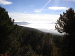 DSC03286.jpg