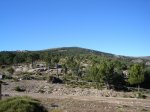 DSC03295.jpg