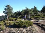 DSC03296.jpg