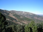 DSC03299.jpg