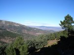 DSC03300.jpg
