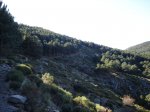 DSC03301.jpg