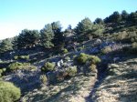 DSC03303.jpg
