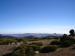DSC03324.jpg