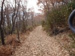 DSC03328.jpg