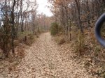DSC03329.jpg