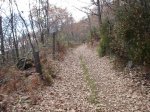 DSC03330.jpg