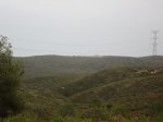 004_pico_del_ave.JPG