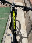 IMG_2196.jpeg