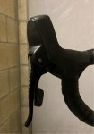 IMG_2116.jpeg