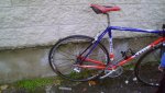 DSC00209.JPG