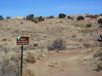 P1010248-a.jpg