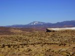 P1010257-a.jpg