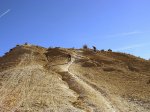P1010263-a.jpg