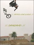030930_vans3_bmx09_v.jpg