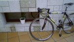 DSC00211.JPG