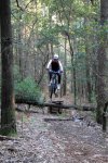 Bicis6_1.JPG